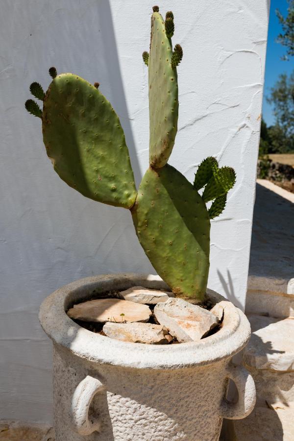 Villa Il Trullo della Rondinina Alberobello Esterno foto