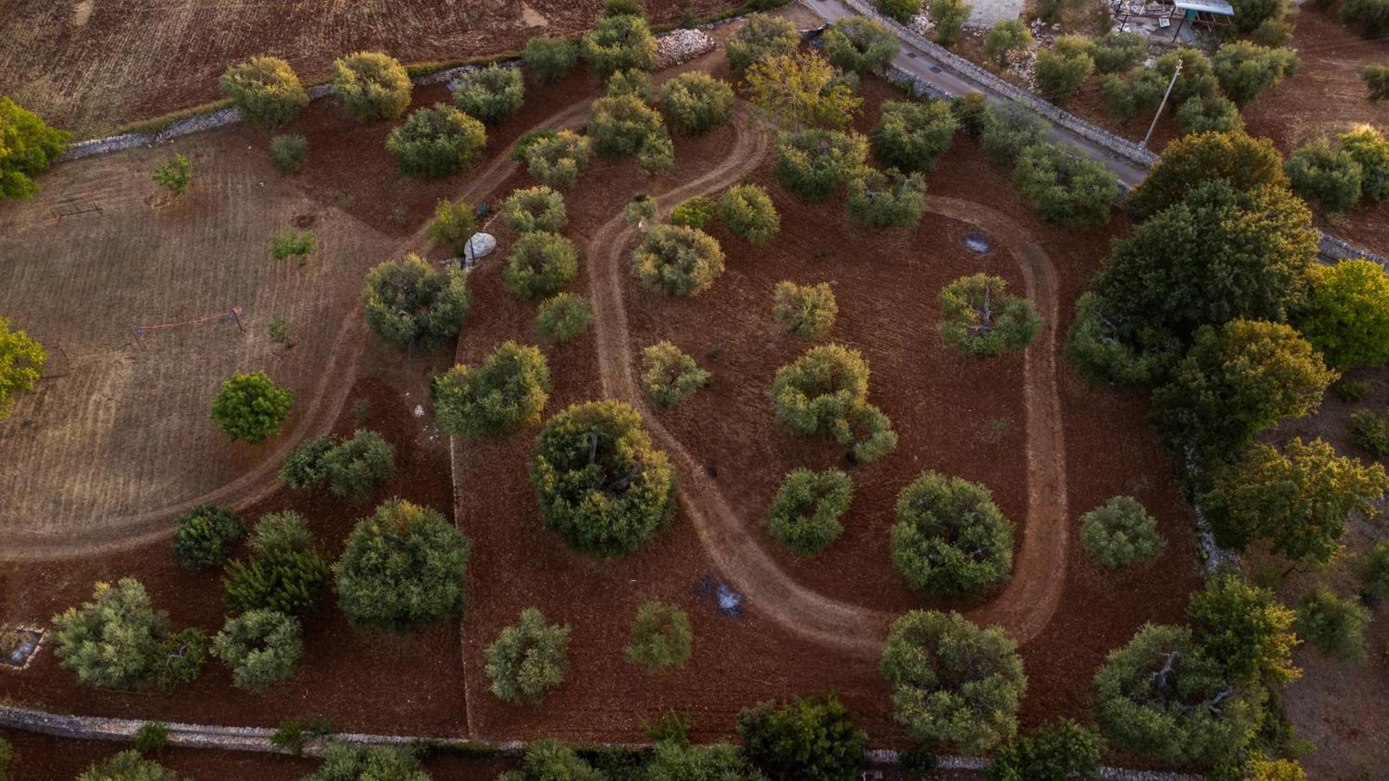 Villa Il Trullo della Rondinina Alberobello Esterno foto