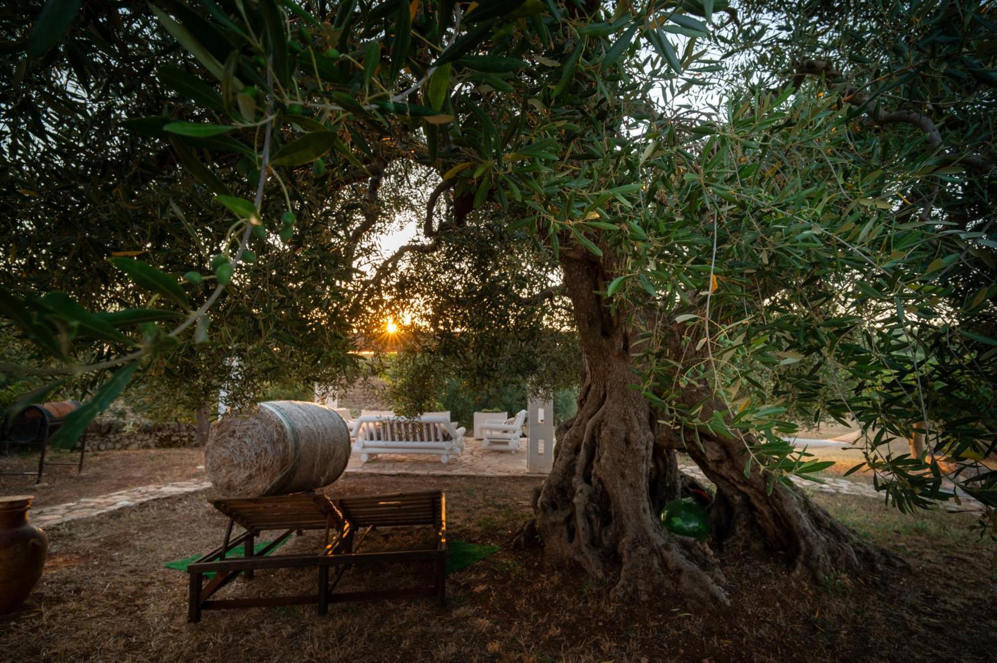 Villa Il Trullo della Rondinina Alberobello Esterno foto