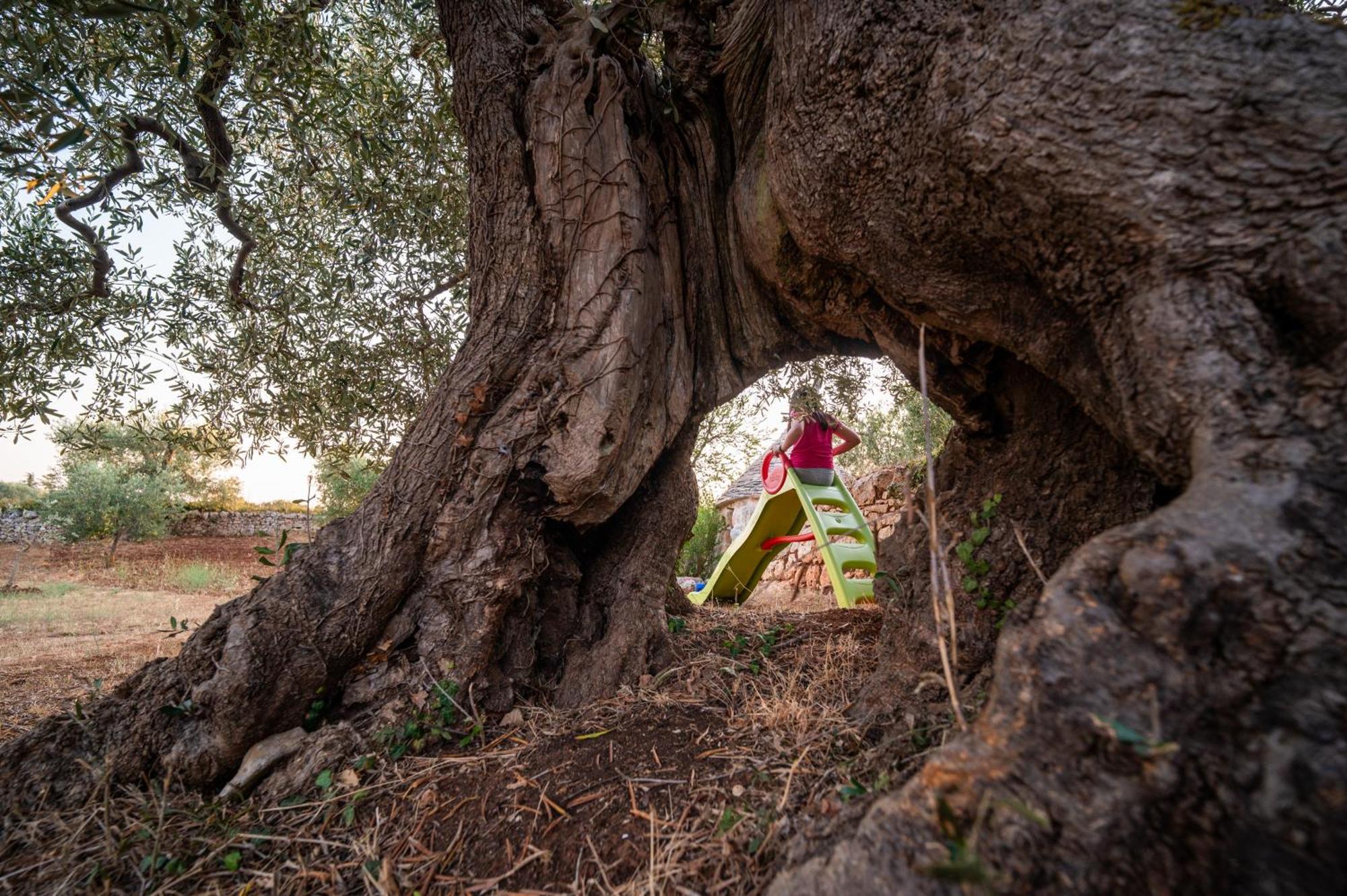 Villa Il Trullo della Rondinina Alberobello Esterno foto